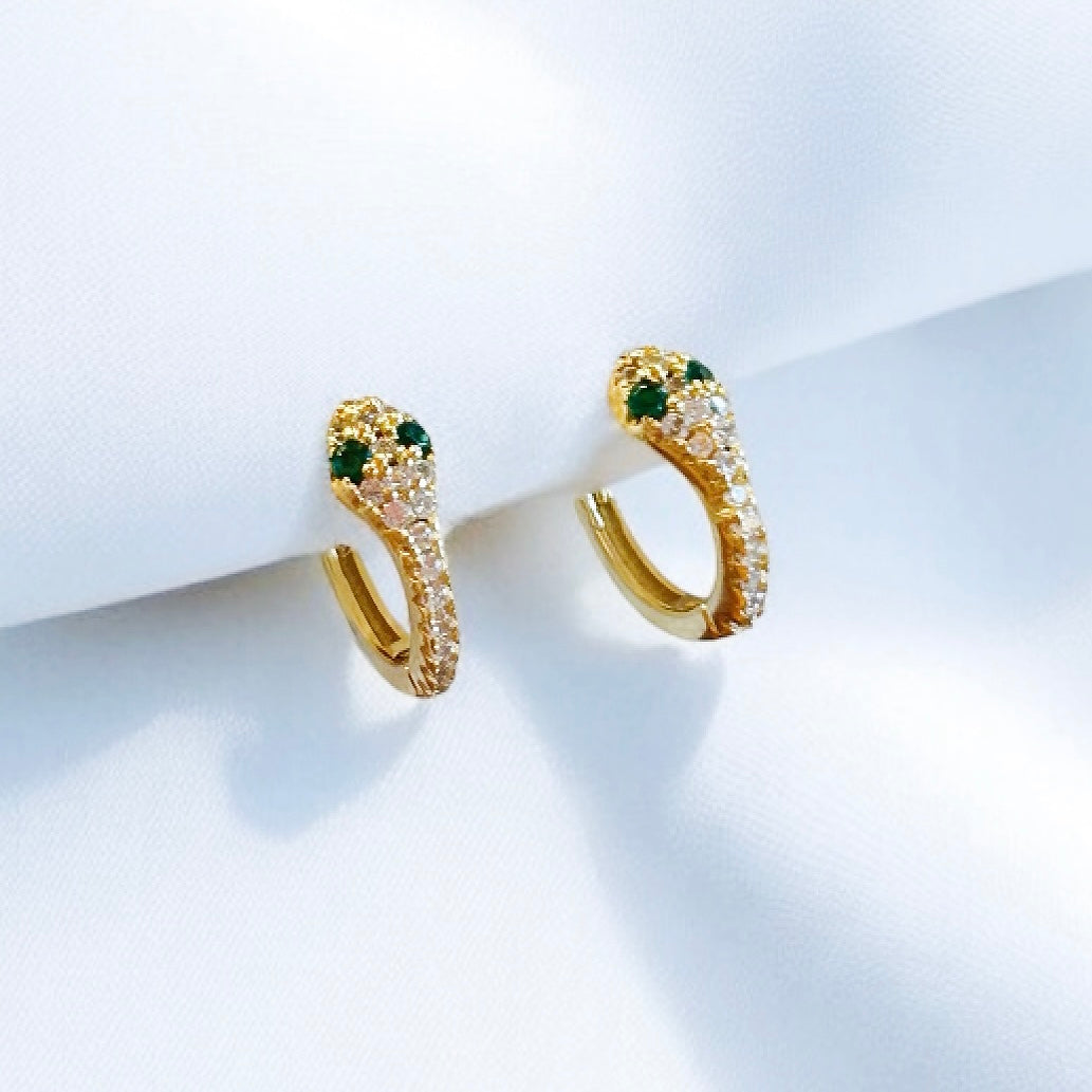 Mini Snake Hoops