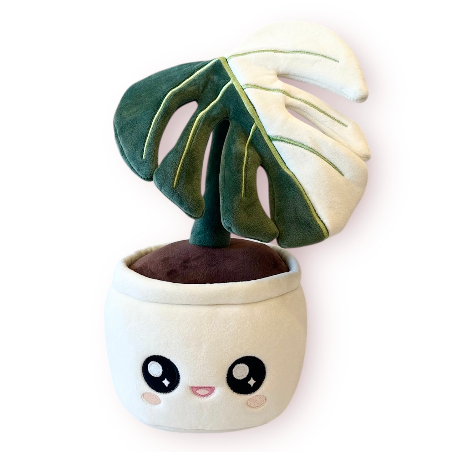 Plant Blushiez