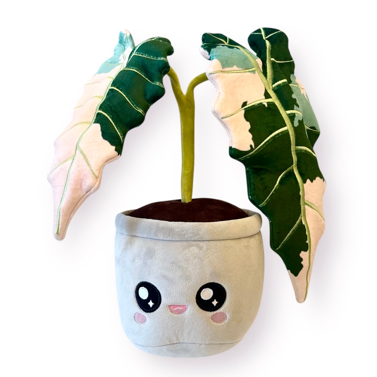 Plant Blushiez