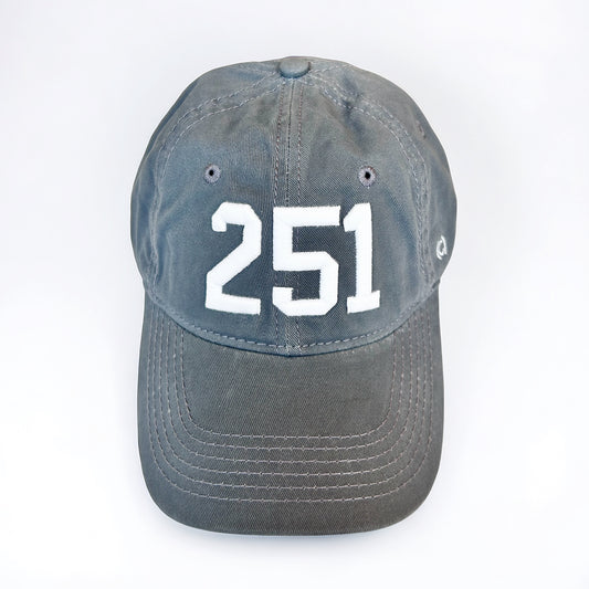 Grey 251 Hat