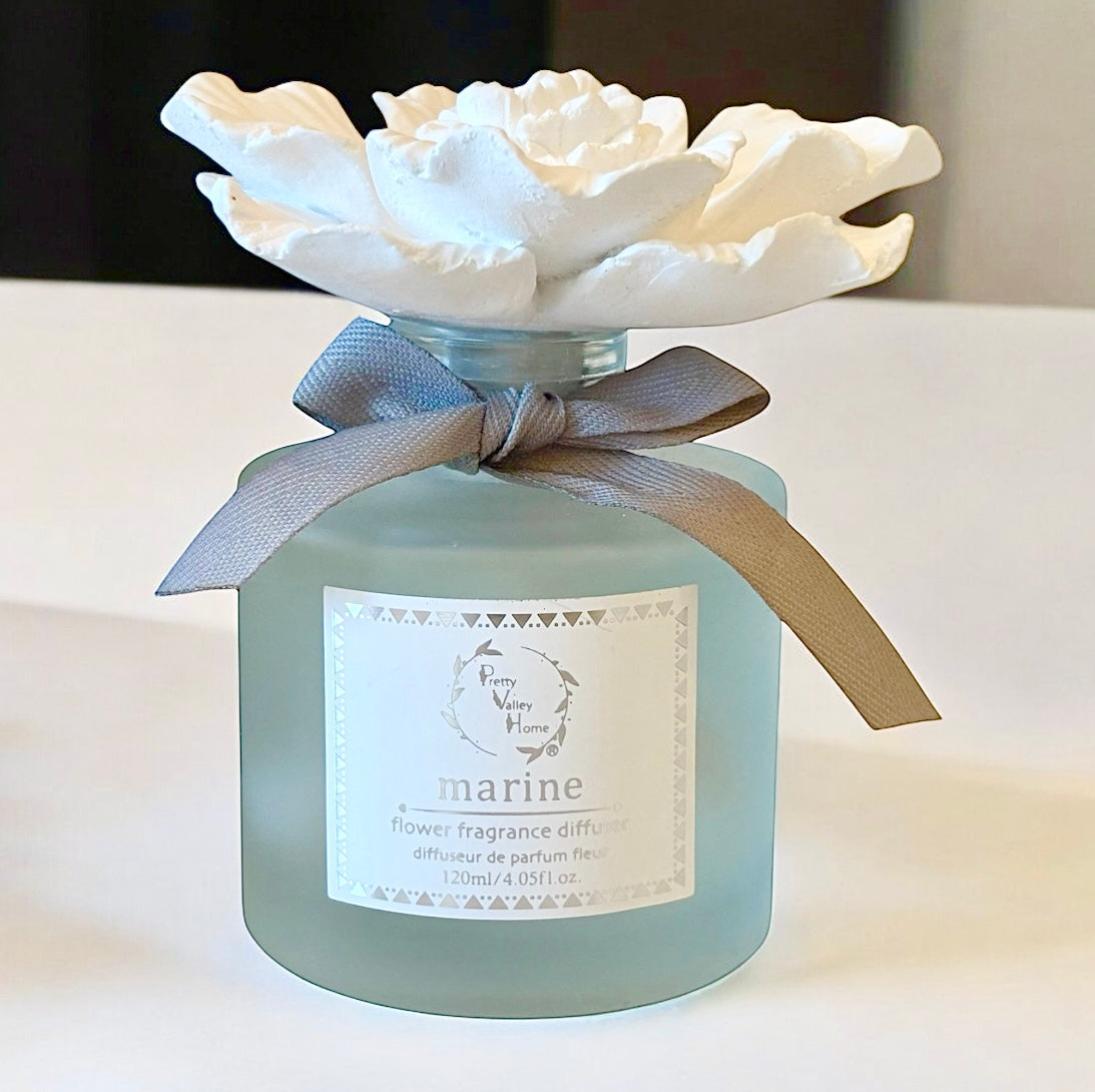 Pretty Valley Home Ceramic Gypsum Flower Diffuser Set