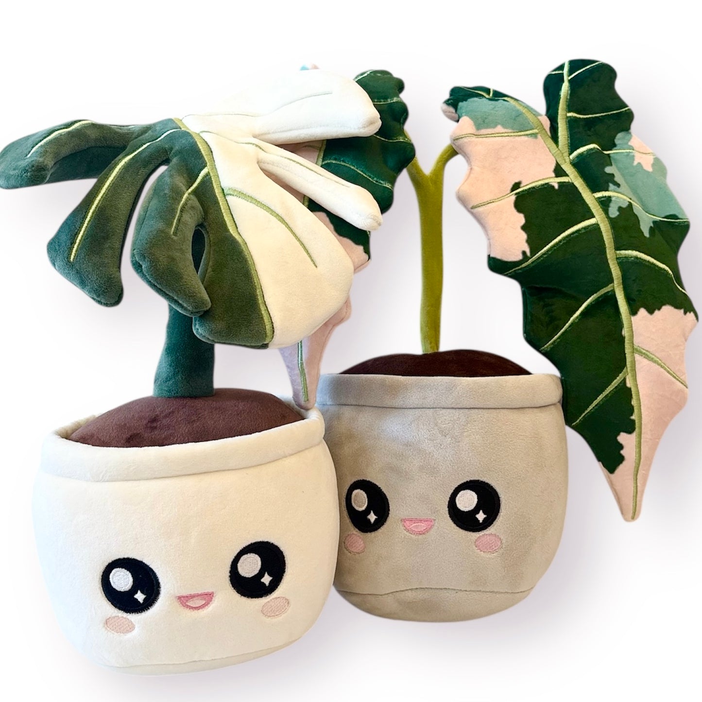 Plant Blushiez