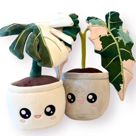 Plant Blushiez