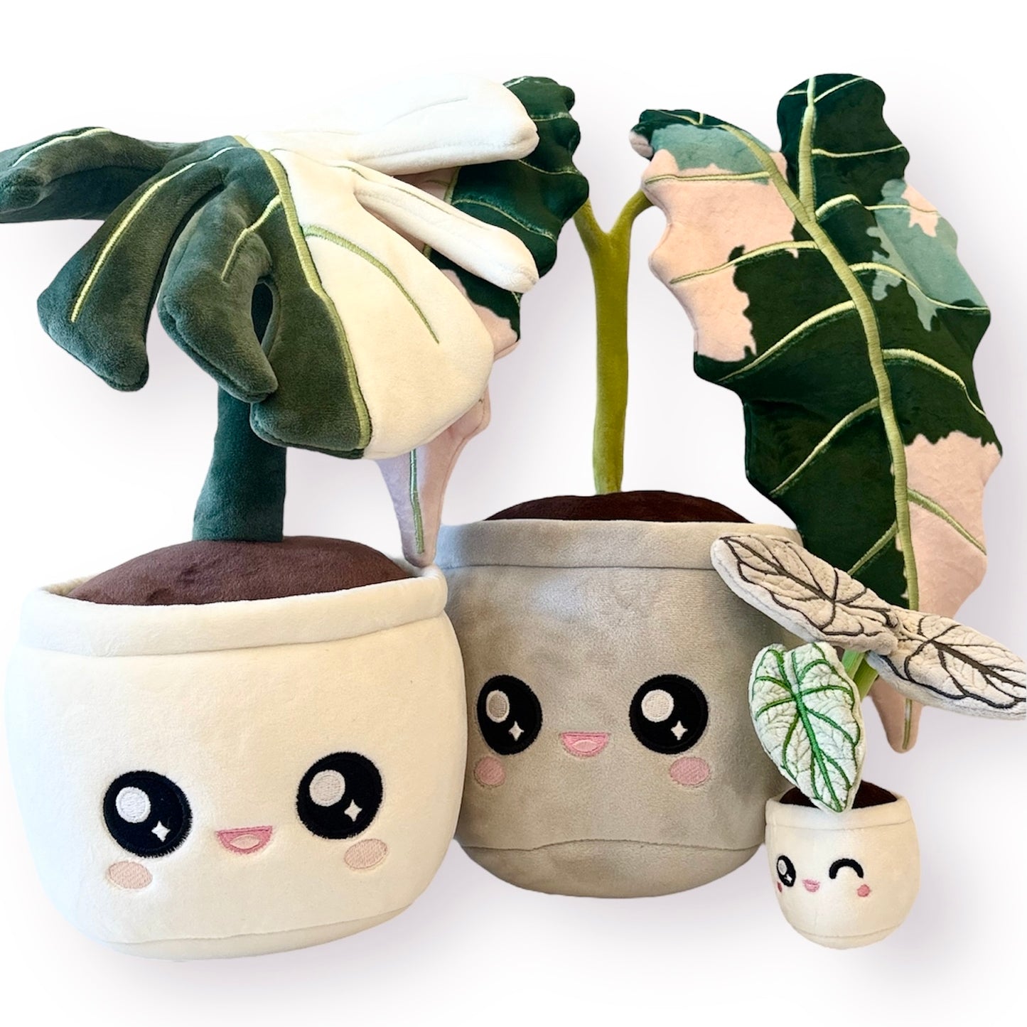 Plant Blushiez