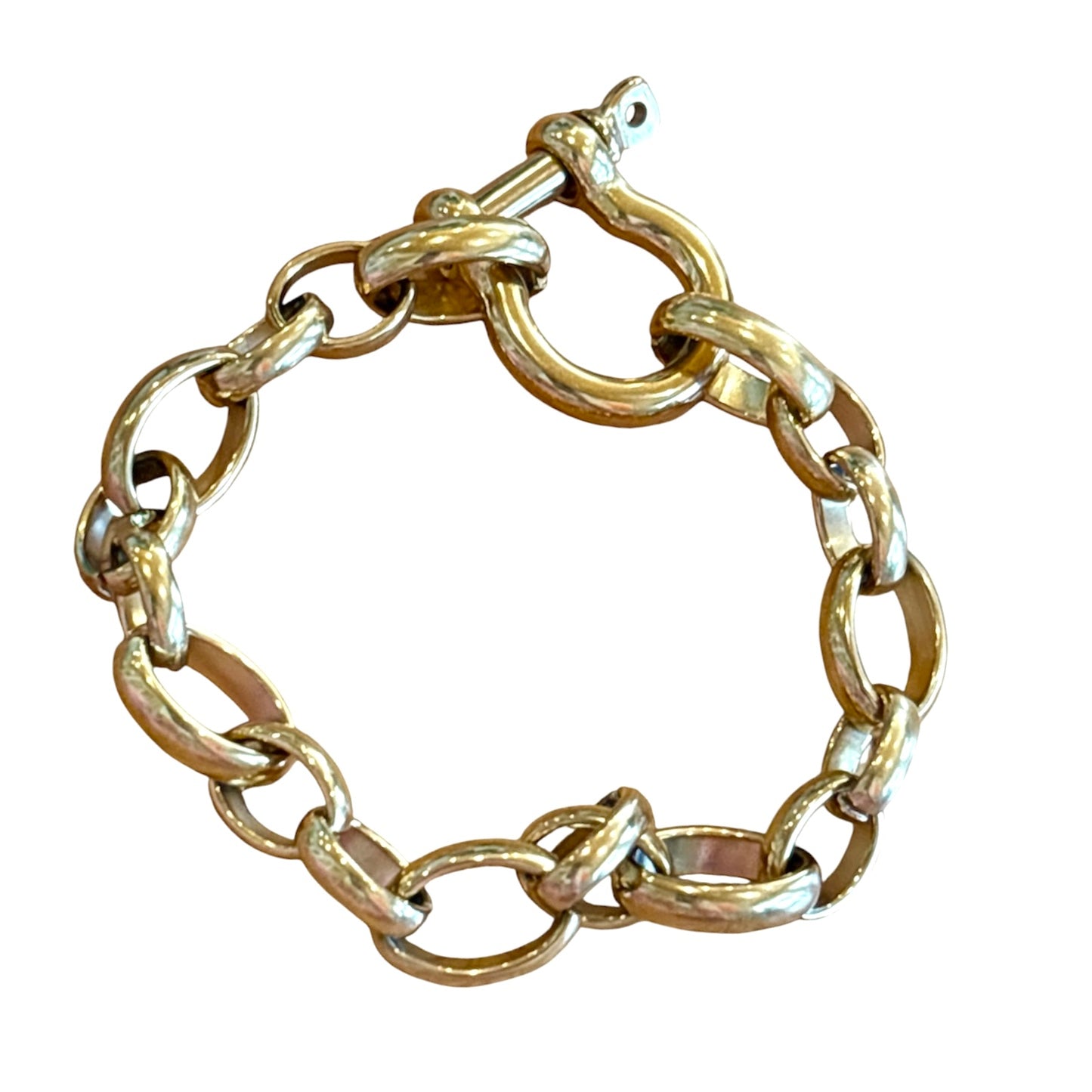 Horseshoe Chain Bracelet